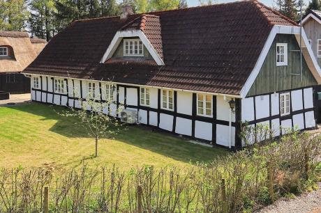 Vakantiehuis Denemarken - : 