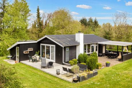 Holiday home Denmark - : 