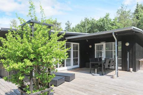 Holiday home Denmark - : 