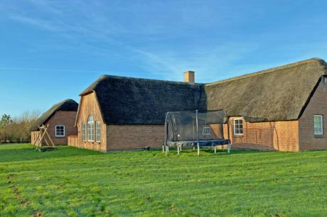 Ferienhaus Denemarken - : 