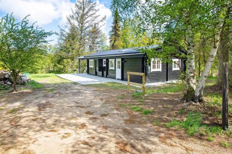 Holiday home Denmark - : 