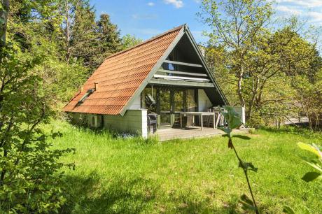 Holiday home Denmark - : 