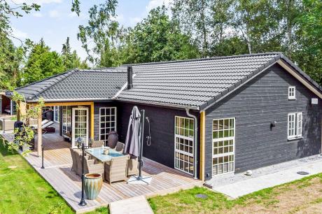 Holiday home Denmark - : 