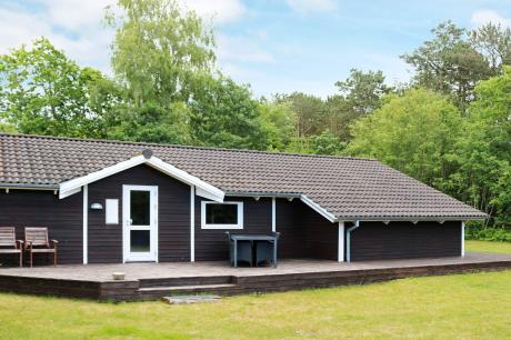 Holiday home Denmark - : 