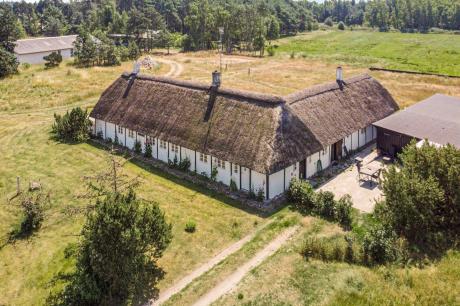 Ferienhaus Denemarken - : 