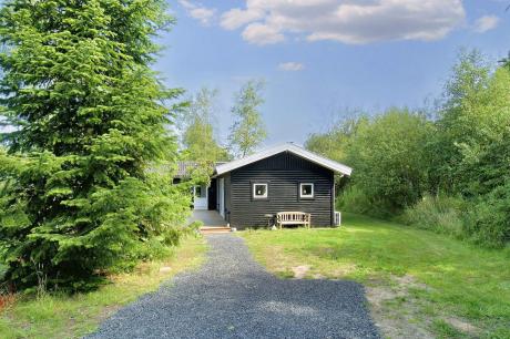 Holiday home Denmark - : 