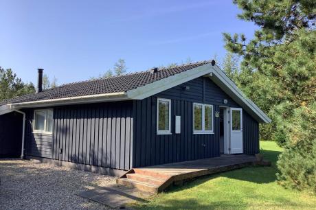 Holiday home Denmark - : 