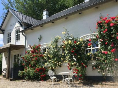 Ferienhaus Denemarken - : 