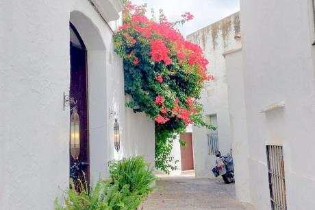 Holiday home Spain - Costa del Sol: 