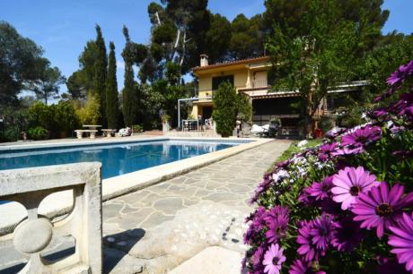 Ferienhaus Spanien - : 