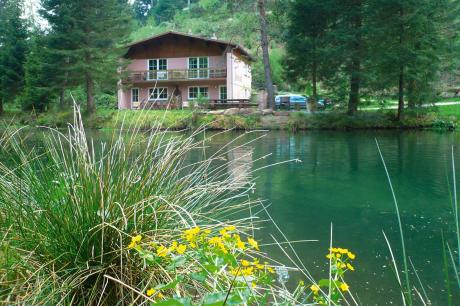 Ferienhaus Frankreich - : 