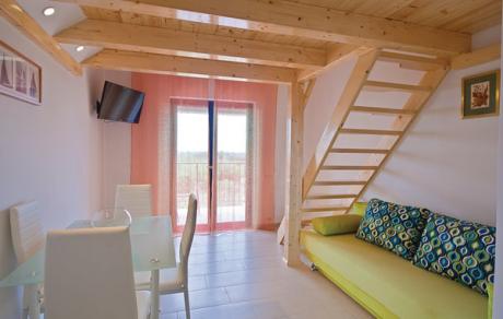 Holiday home Croatia - Eastern Croatia: 