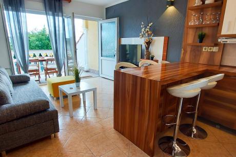 Holiday home Croatia - Eastern Croatia: 