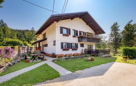 Ferienhaus Kroatien - : 