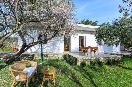 Ferienhaus Kroatien - : 