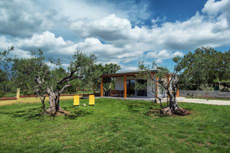 Holiday home Croatia - Eastern Croatia: 