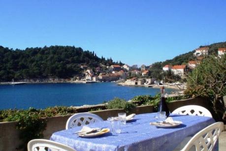 Holiday home Croatia - Eastern Croatia: 