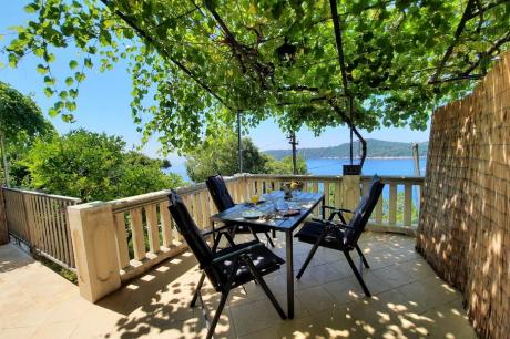 Holiday home Croatia - Eastern Croatia: 