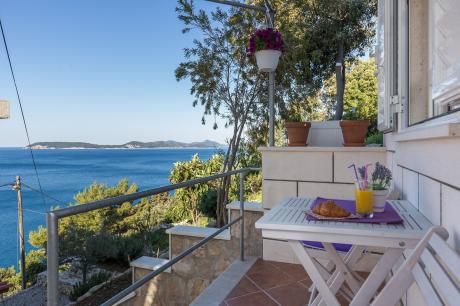 Holiday home Croatia - Eastern Croatia: 