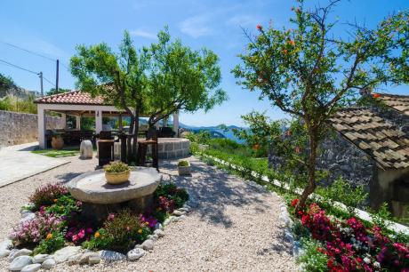 Holiday home Croatia - Eastern Croatia: 