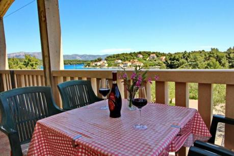 Holiday home Croatia - Eastern Croatia: 