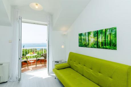 Holiday home Croatia - Eastern Croatia: 