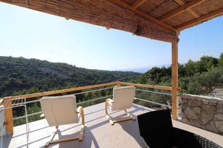 Holiday home Croatia - Eastern Croatia: 