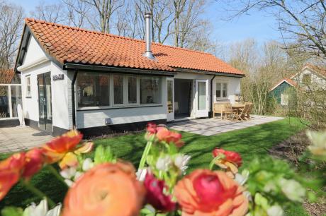 Vakantiehuis Nederland - : 