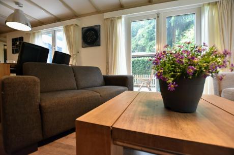 Ferienhaus Niederlande - : 