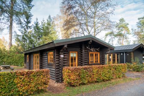 Ferienhaus Niederlande - : 