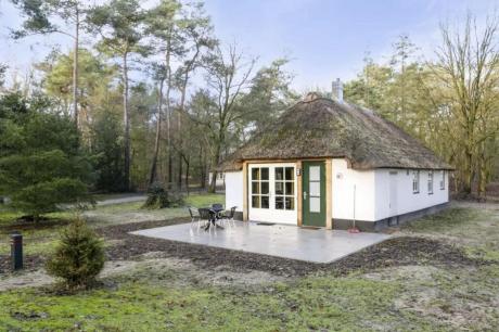 Ferienhaus Niederlande - : 