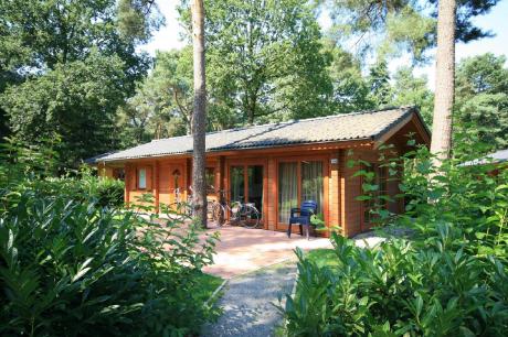 Ferienhaus Niederlande - : 