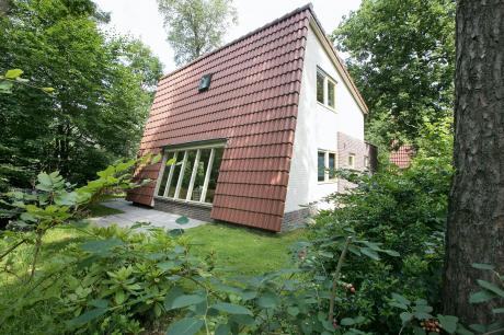 Ferienhaus Niederlande - : 