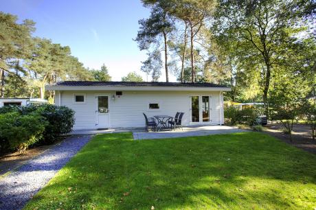 Vakantiehuis Nederland - : 