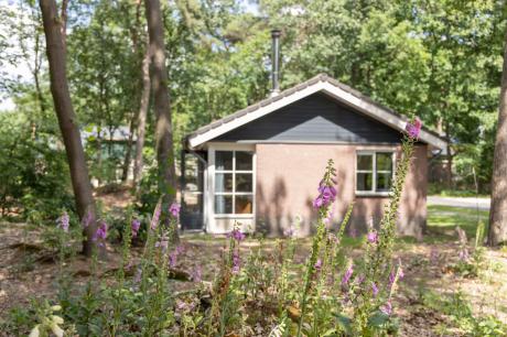 Ferienhaus Niederlande - : 