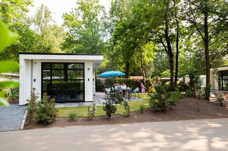 Ferienhaus Niederlande - : 