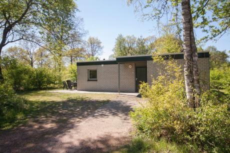 Ferienhaus Niederlande - : 