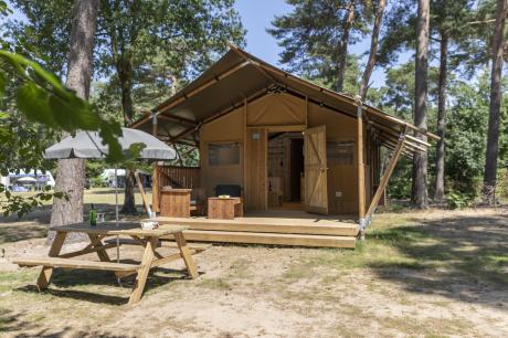 Vakantiehuis Nederland - : 