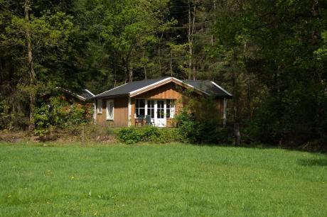 Ferienhaus Niederlande - : 