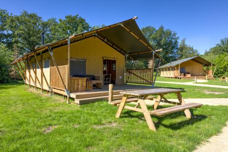 Ferienhaus Niederlande - : 