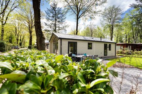 Vakantiehuis Nederland - : 