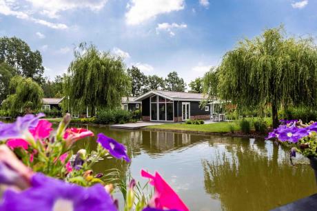 Holiday home Netherlands - : 