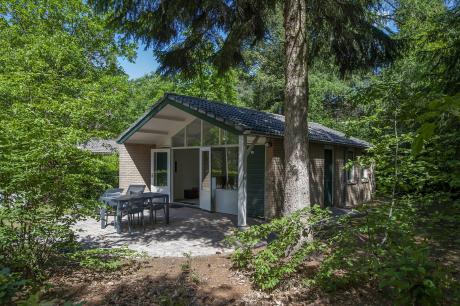 Ferienhaus Niederlande - : 