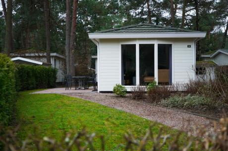 Ferienhaus Niederlande - : 