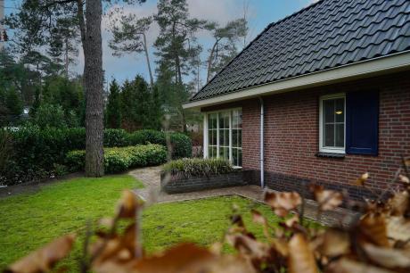 Ferienhaus Niederlande - : 