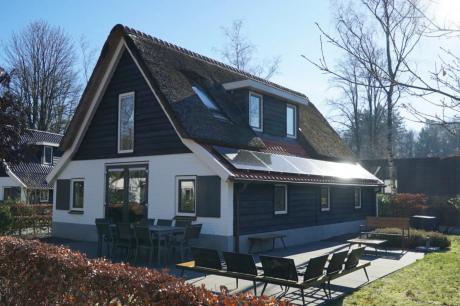 Vakantiehuis Nederland - : 