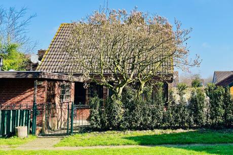 Vakantiehuis Nederland - : 