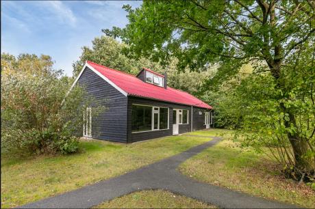 Ferienhaus Niederlande - : 