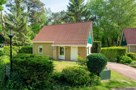 Ferienhaus Niederlande - : 