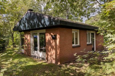 Ferienhaus Niederlande - : 